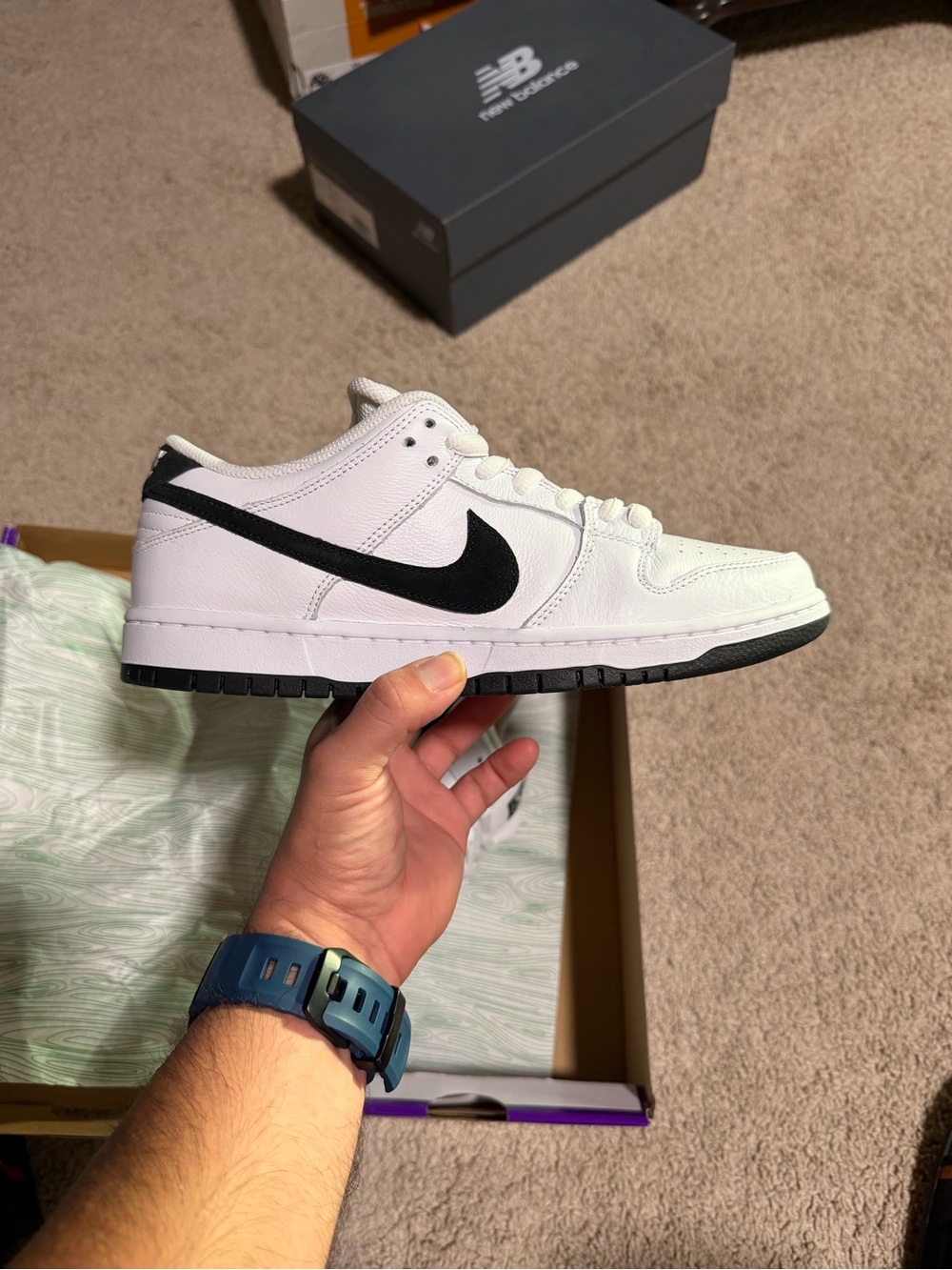 Nike SB Dunk Low Pro
